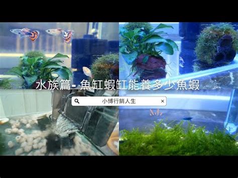 魚缸重量計算|魚缸計算機｜魚缸過濾｜魚缸光照｜魚缸溫度｜魚缸Di